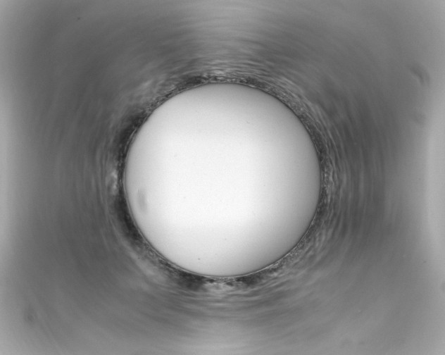 X0000111600703200907161214