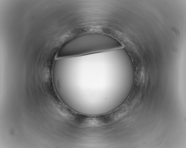 X0000111600704200907161214