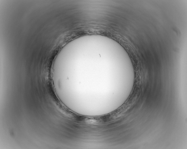X0000111600706200907161214