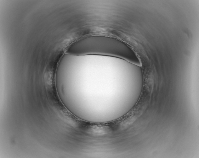 X0000111600708200907161214
