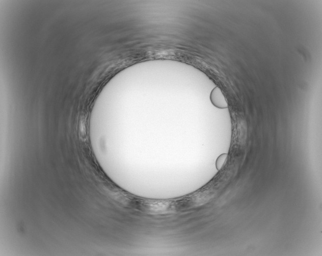 X0000111600709200907161214