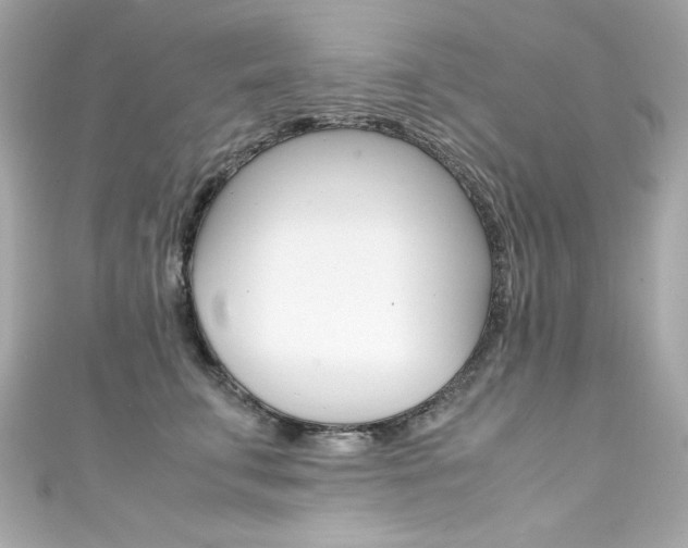 X0000111600711200907161214