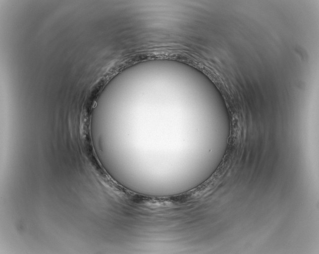 X0000111600712200907161214