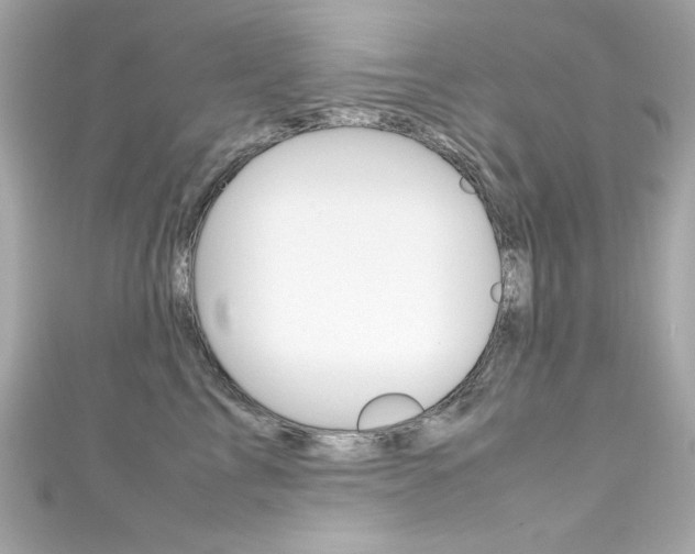 X0000111600713200907161214
