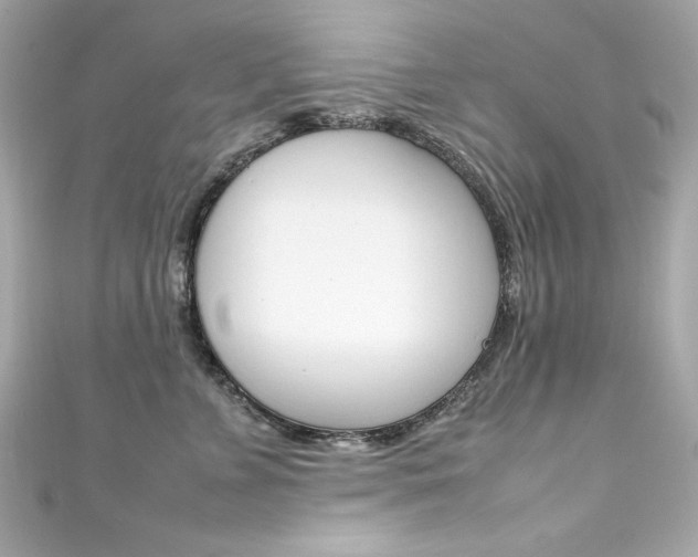 X0000111600715200907161214