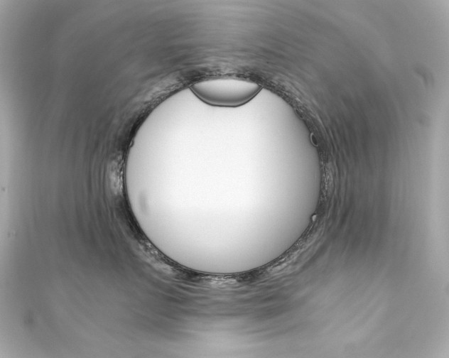 X0000111600719200907161214