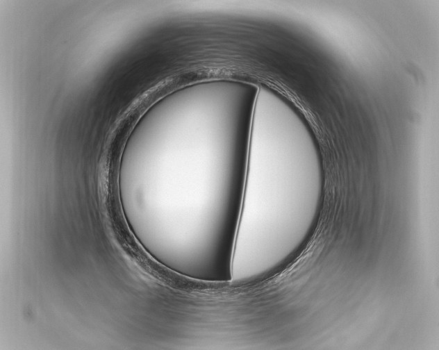X0000111600722200907161213