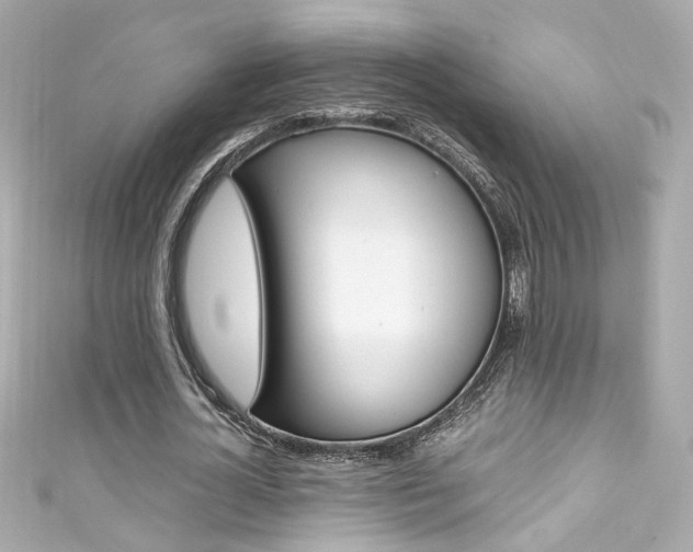 X0000111600724200907161213