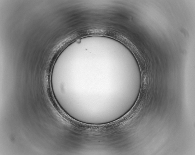 X0000111600725200907161213