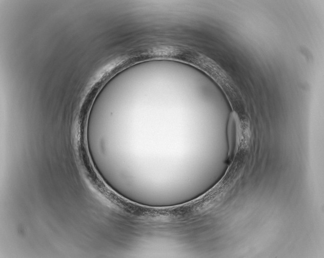 X0000111600726200907161213