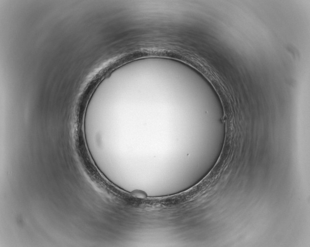 X0000111600728200907161213
