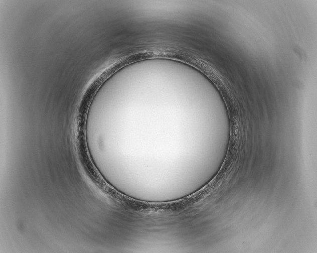 X0000111600730200907161213