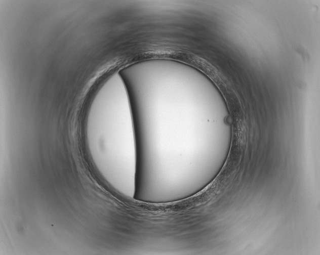 X0000111600731200907161213