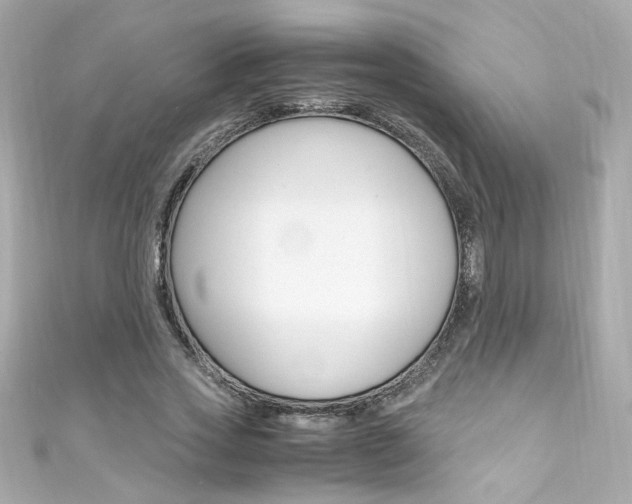 X0000111600733200907161213