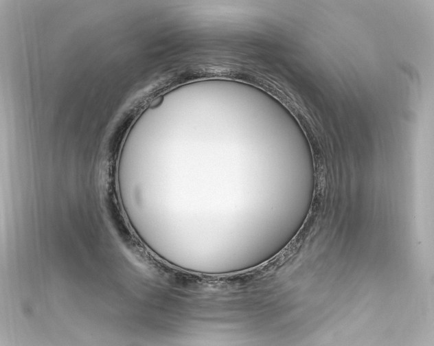 X0000111600736200907161213