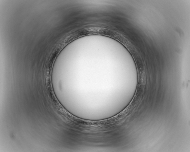 X0000111600737200907161213
