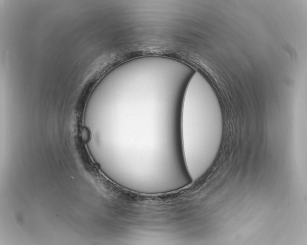 X0000111600738200907161213