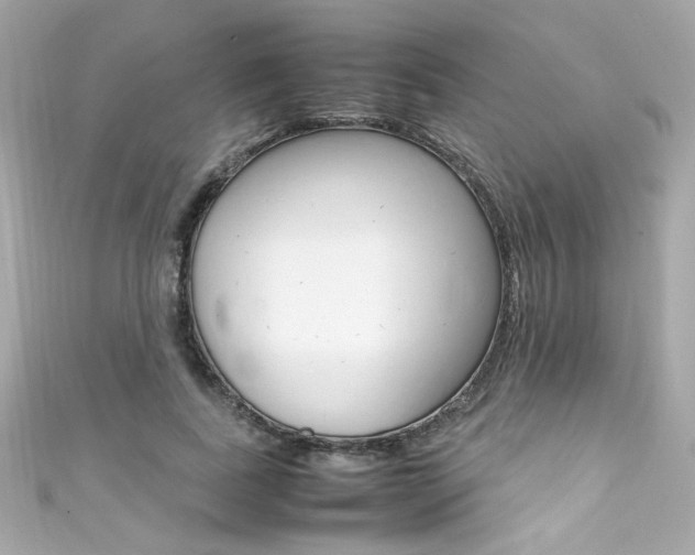 X0000111600739200907161213