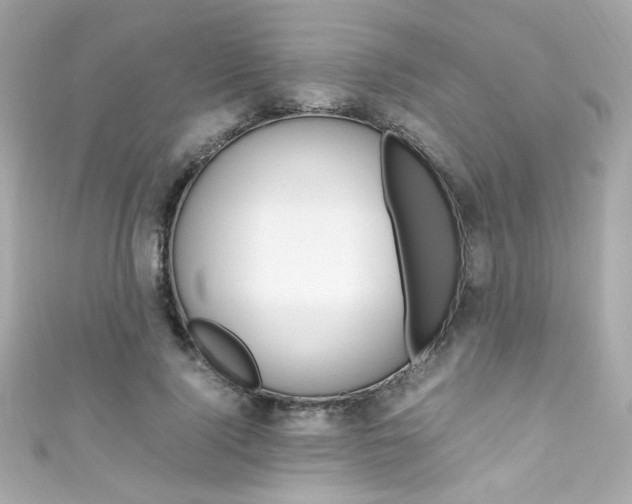 X0000111600740200907161213