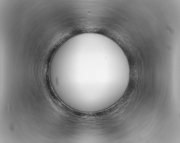 X0000111600742200907161213