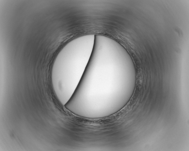 X0000111600743200907161213