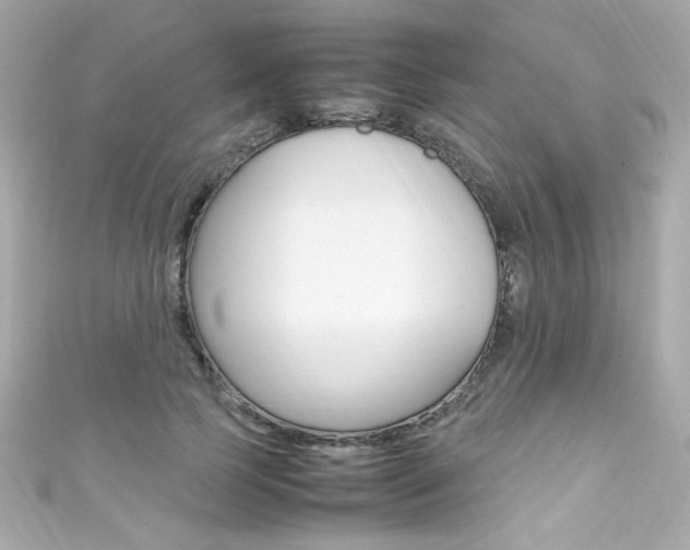 X0000111600745200907161213