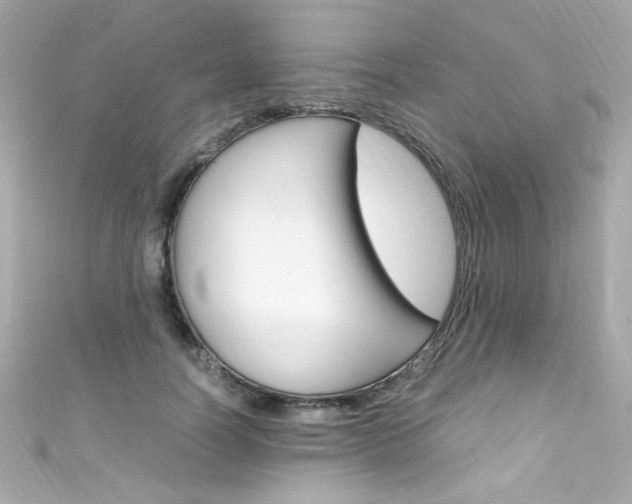 X0000111600746200907161213