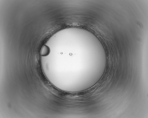 X0000111600747200907161213
