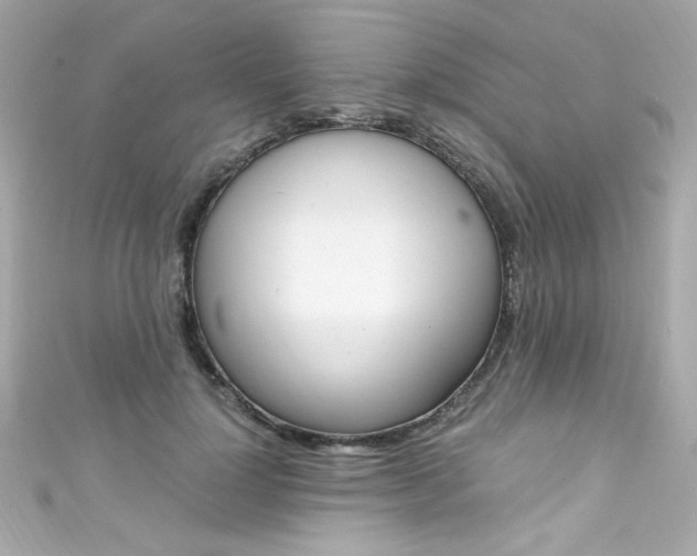 X0000111600748200907161213
