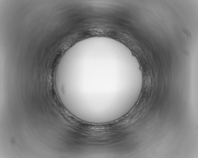 X0000111600749200907161213