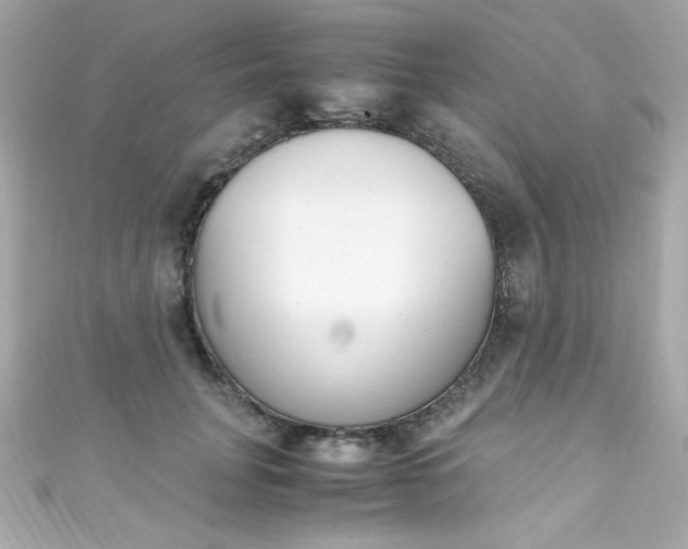 X0000111600751200907161213