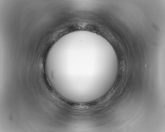 X0000111600754200907161213