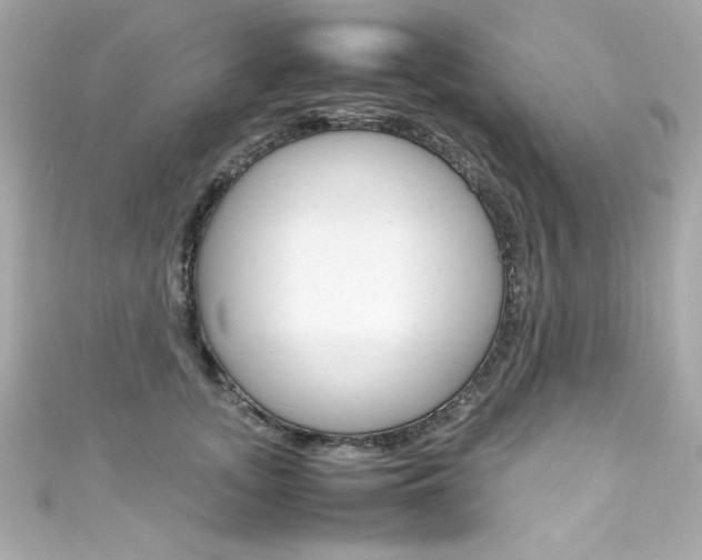 X0000111600755200907161213