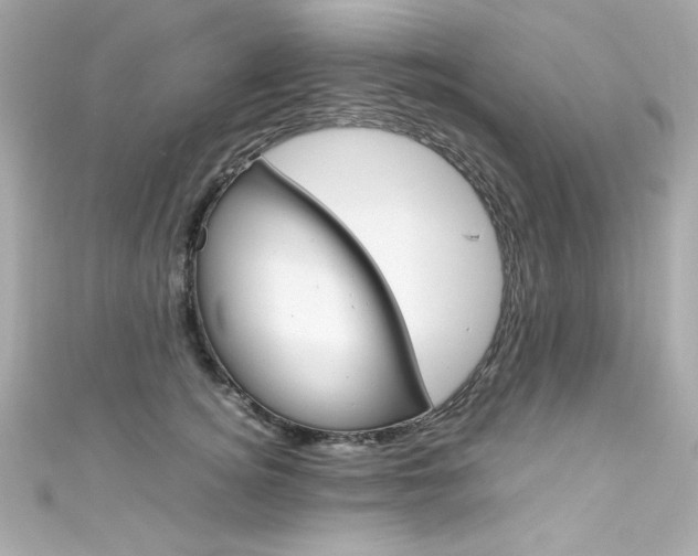 X0000111600756200907161213