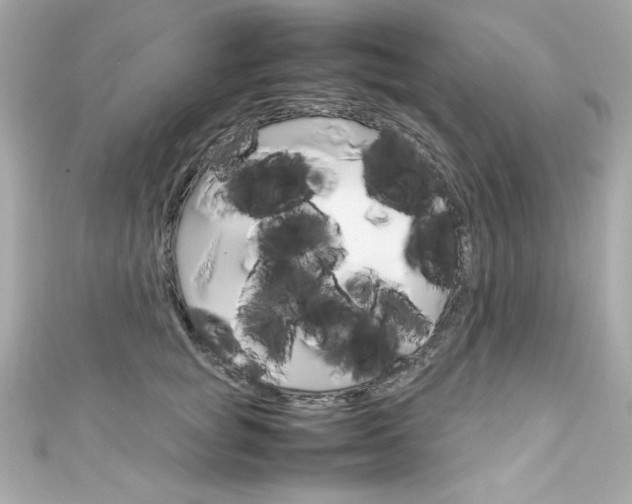 X0000111600757200907161213