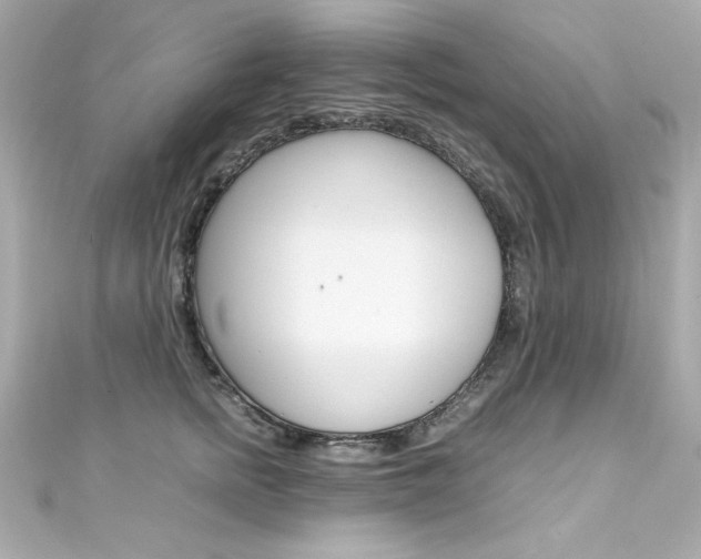 X0000111600758200907161213
