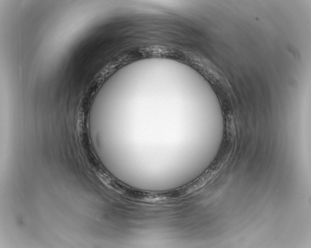 X0000111600760200907161213