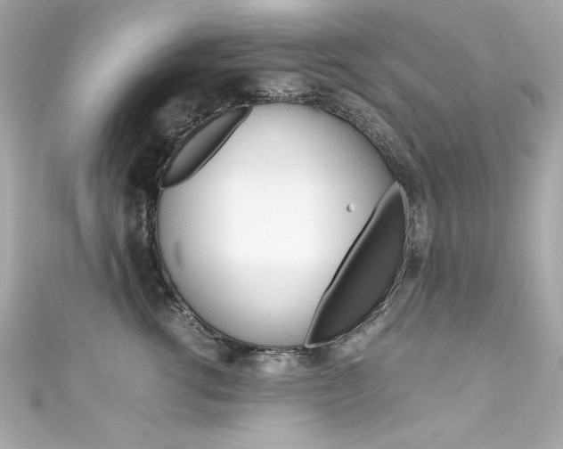 X0000111600762200907161213