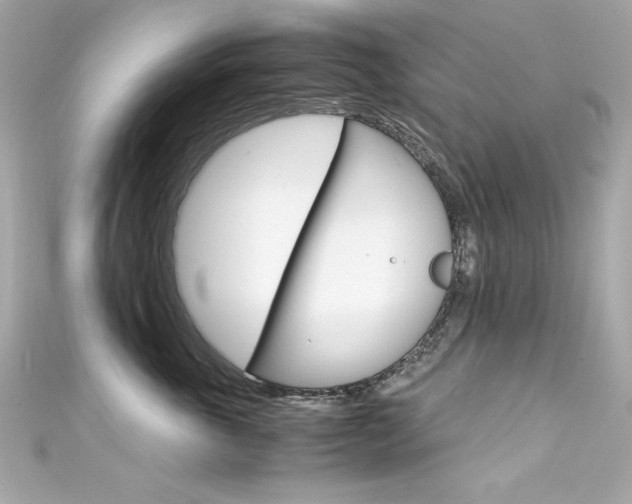 X0000111600763200907161214