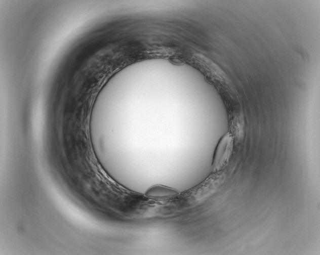 X0000111600764200907161214