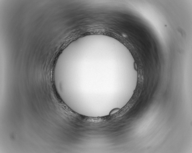 X0000111600767200907161214