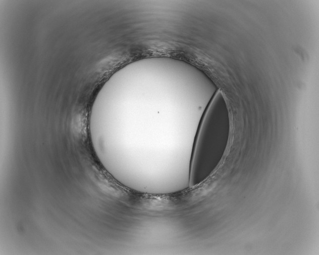 X0000111600768200907161214