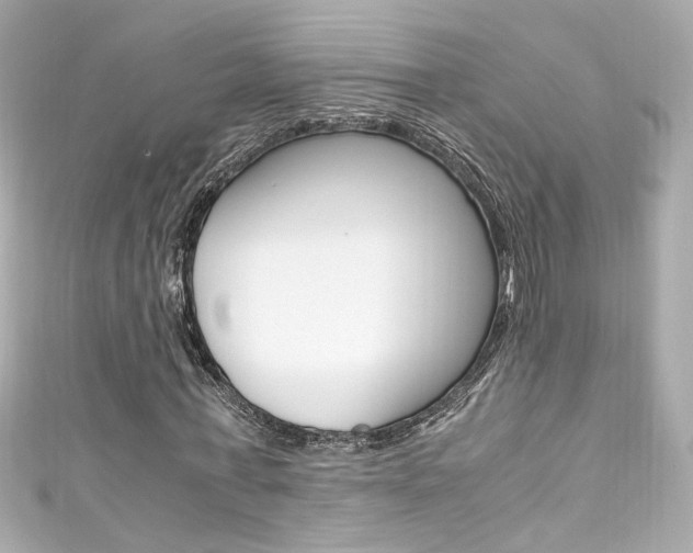 X0000111600771200907161213