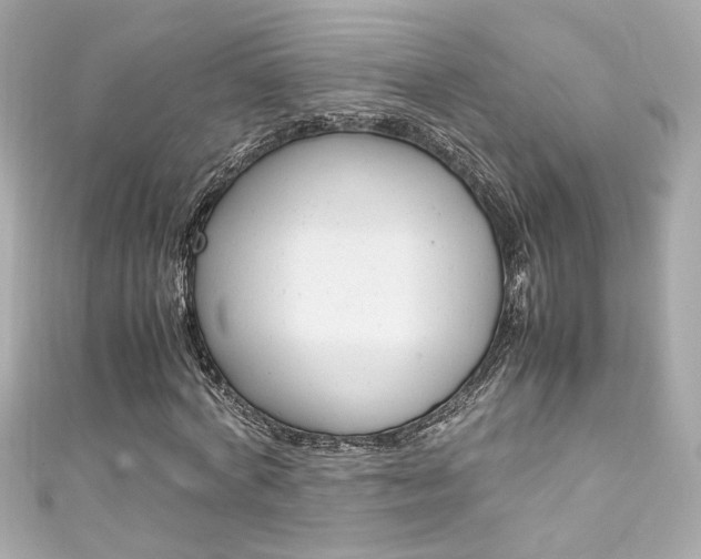 X0000111600772200907161213