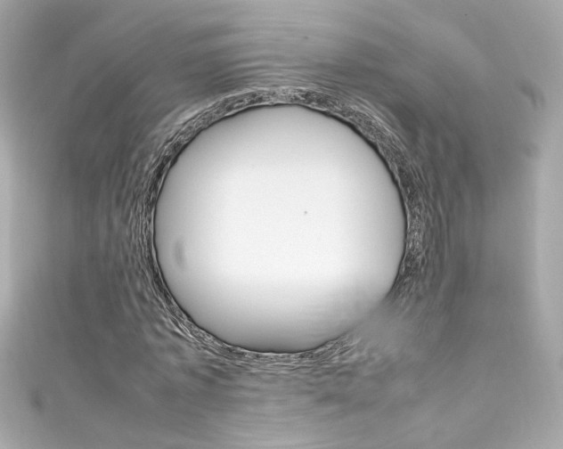 X0000111600773200907161213