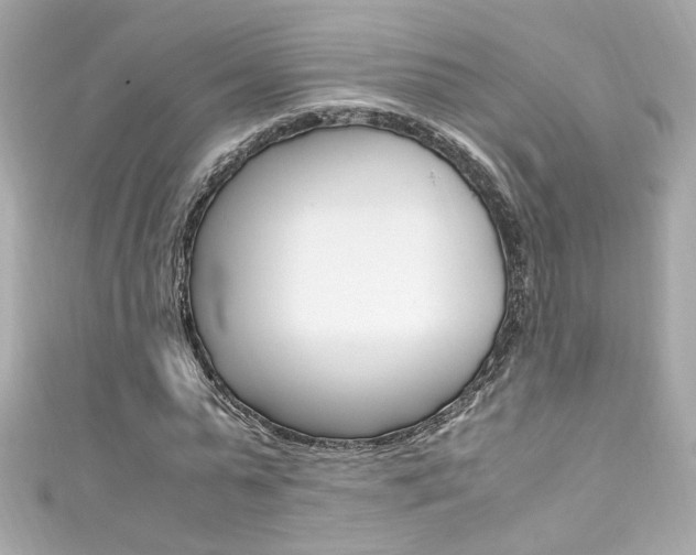 X0000111600775200907161213