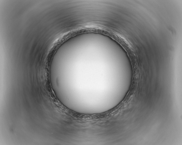 X0000111600776200907161213