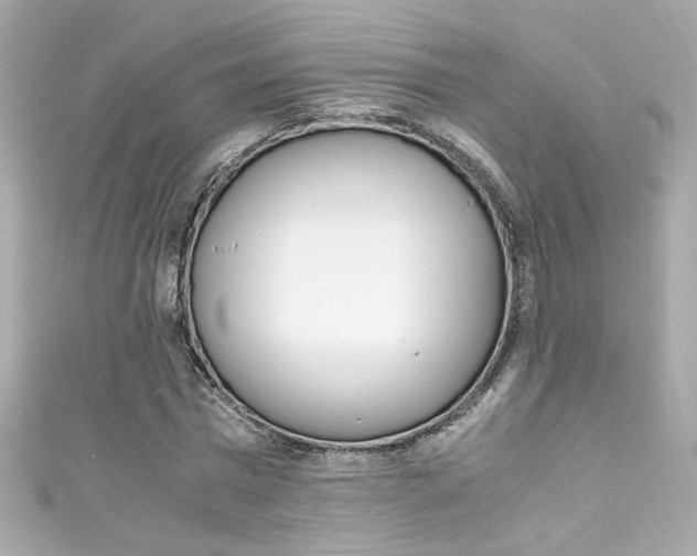 X0000111600777200907161213