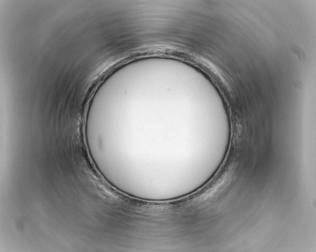 X0000111600778200907161213