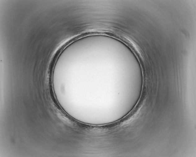 X0000111600779200907161213